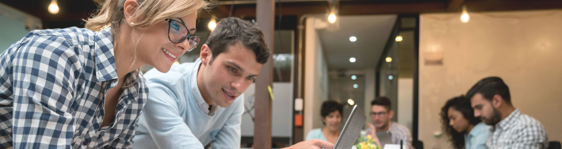 Investor Readiness Programs