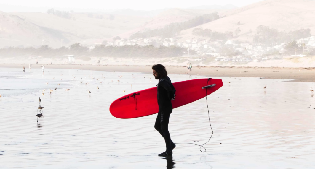 sailboard onderneming naar Zoetermeer