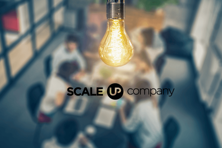 scale-up company