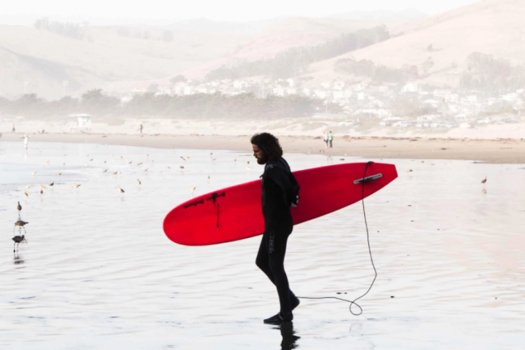 sailboard onderneming naar Zoetermeer
