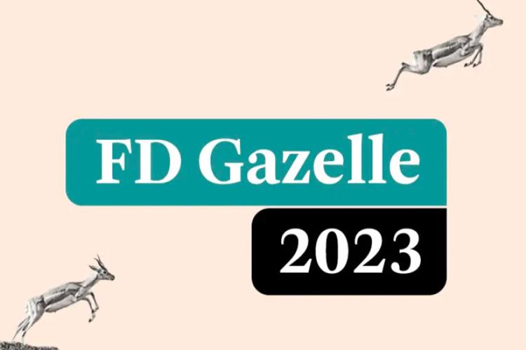 FD gazellen